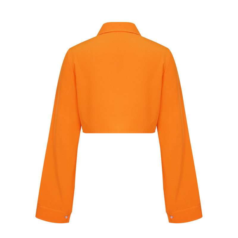 Long Sleeve Collared Button Up Crop Top
