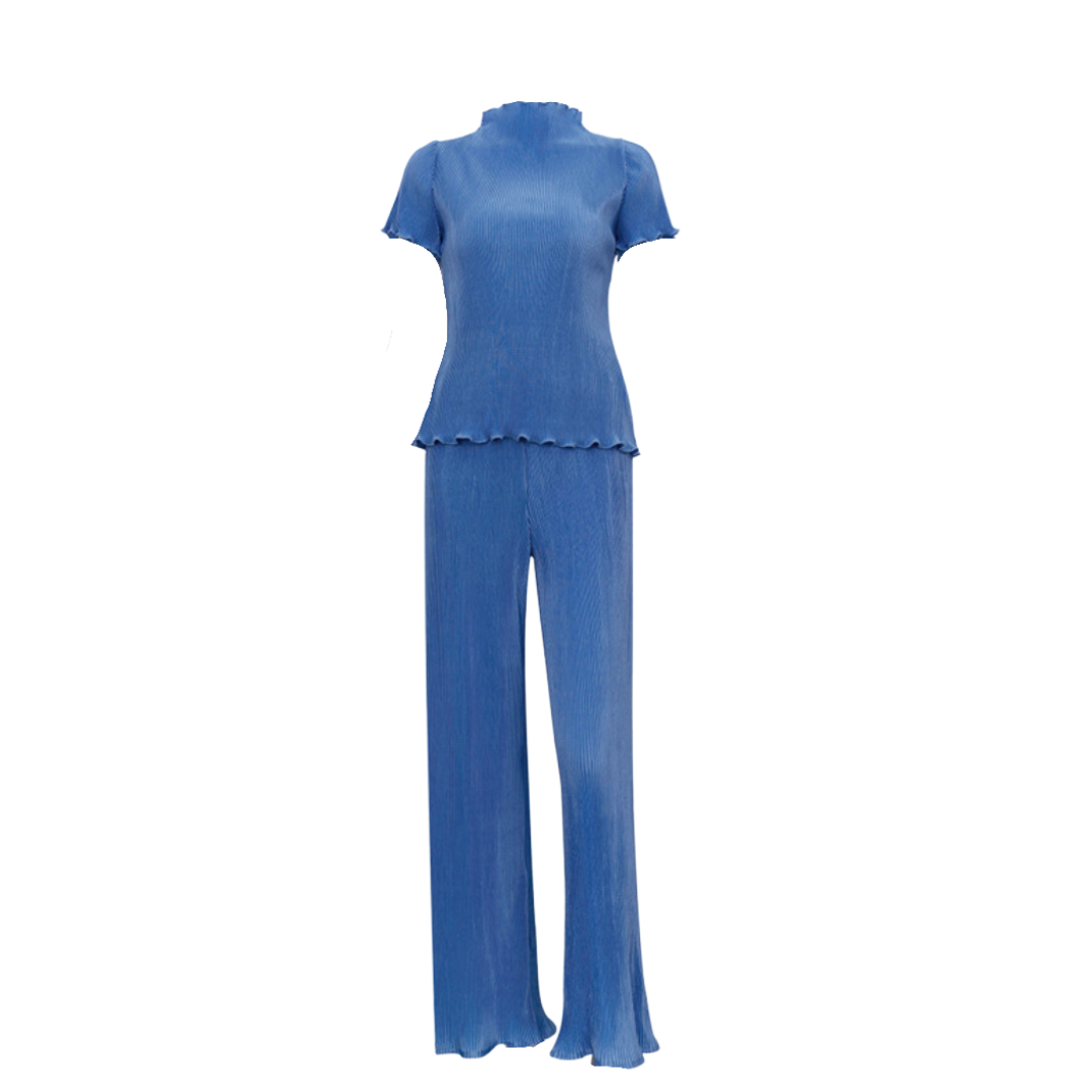 Short Sleeve Top Pleated Set
