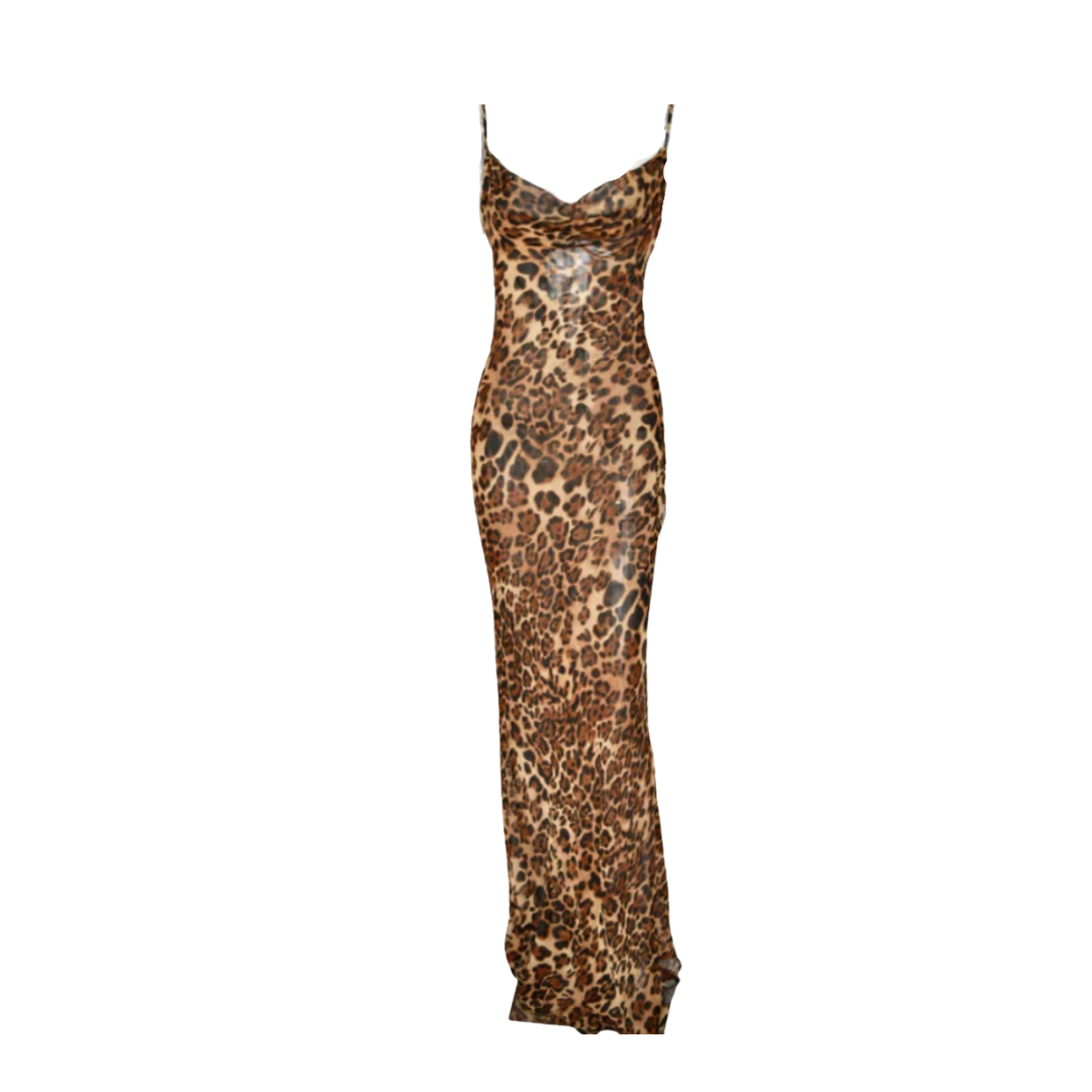 Sheer Leopard Print Maxi Dress Shop Style Shark