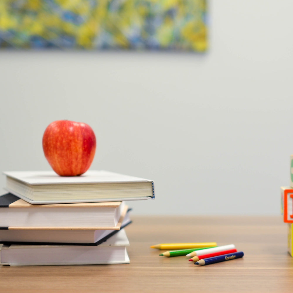 5 Tips for Transitioning Back to School