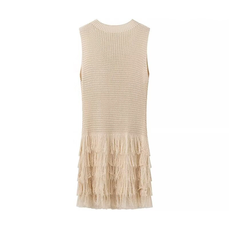 Crewneck Knit Fringe Trim Mini Dress