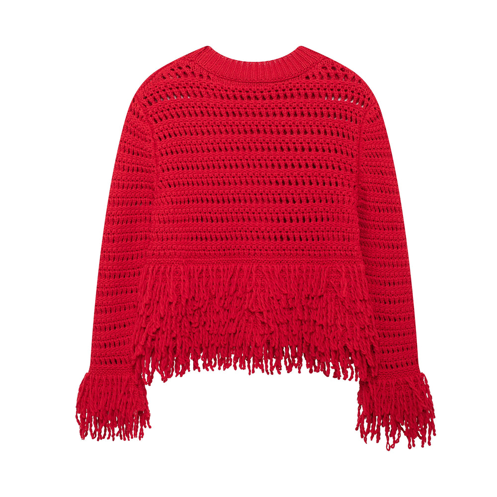 Crew Neck Fringe Tassel Knit Sweater