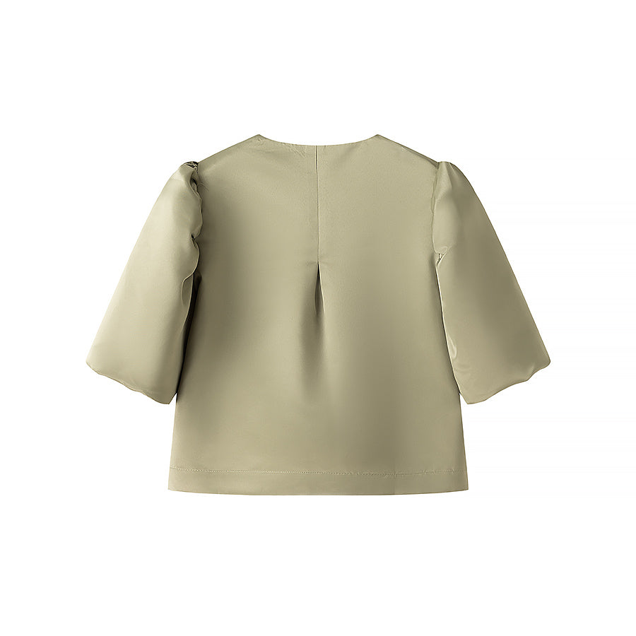 Hook and Eye Closure Puffy Sleeve Satin Blouse