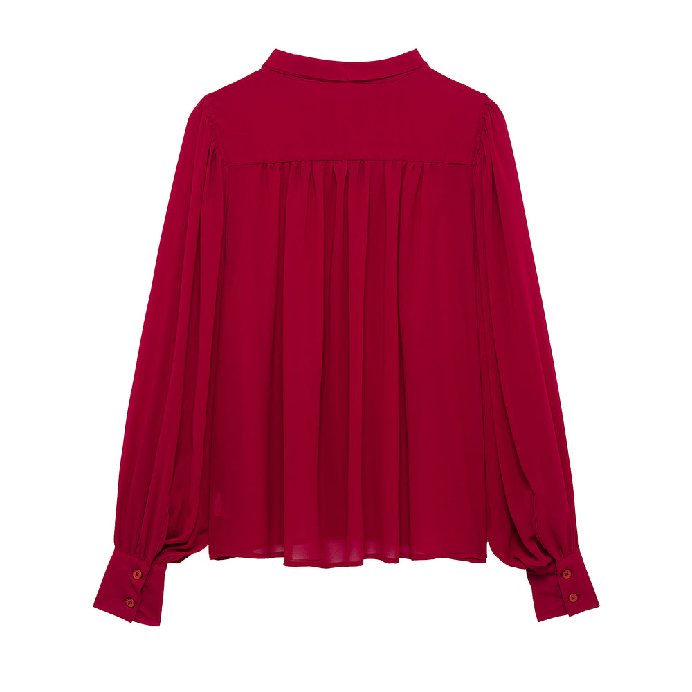 Long Sleeve Tied Neck Blouse