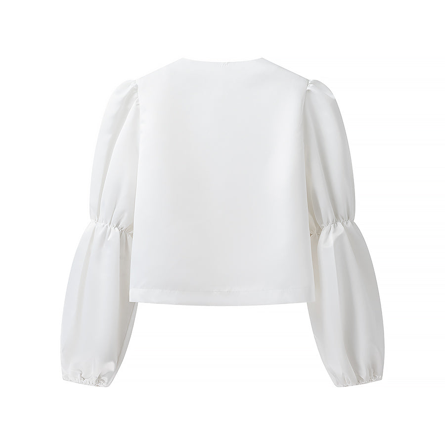 Puffy Long Sleeve Blouse