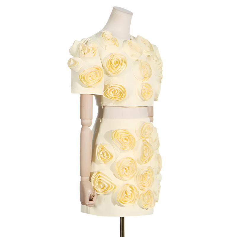 
                      
                        Rosette Puffy Sleeve Top and Mini Skirt
                      
                    