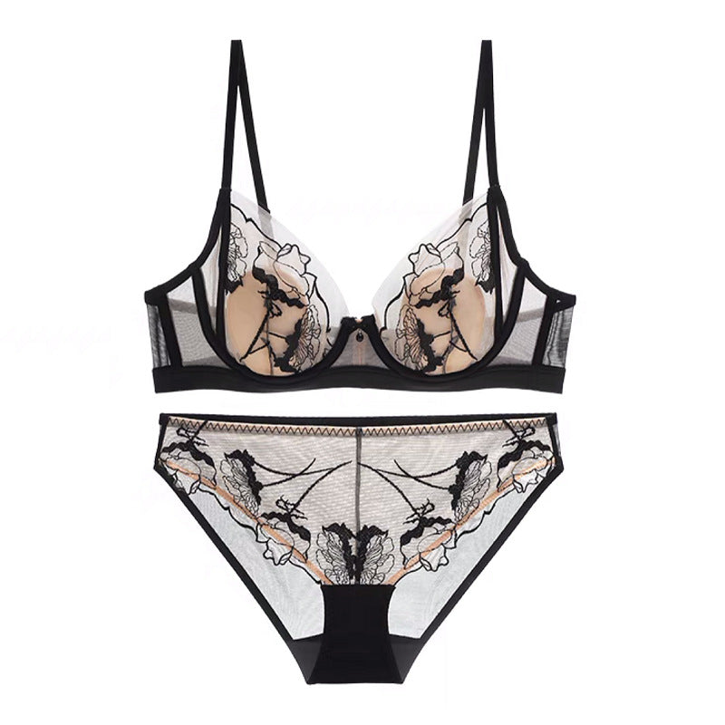 Sheer Embroidered Mesh Bra and Panty Set