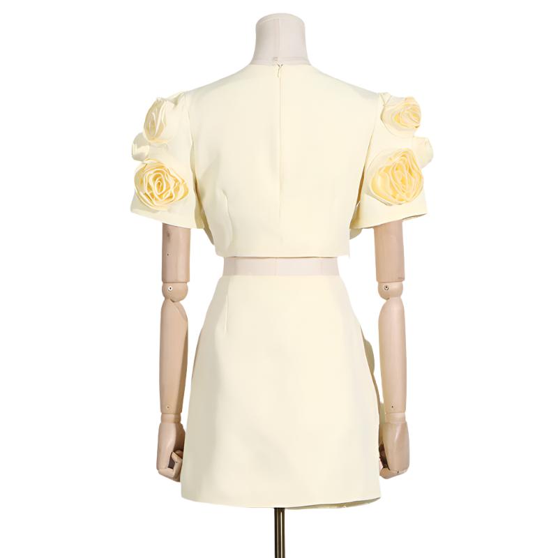 
                      
                        Rosette Puffy Sleeve Top and Mini Skirt
                      
                    