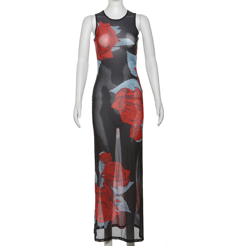 
                      
                        Rose Print Sheer Maxi Dress
                      
                    