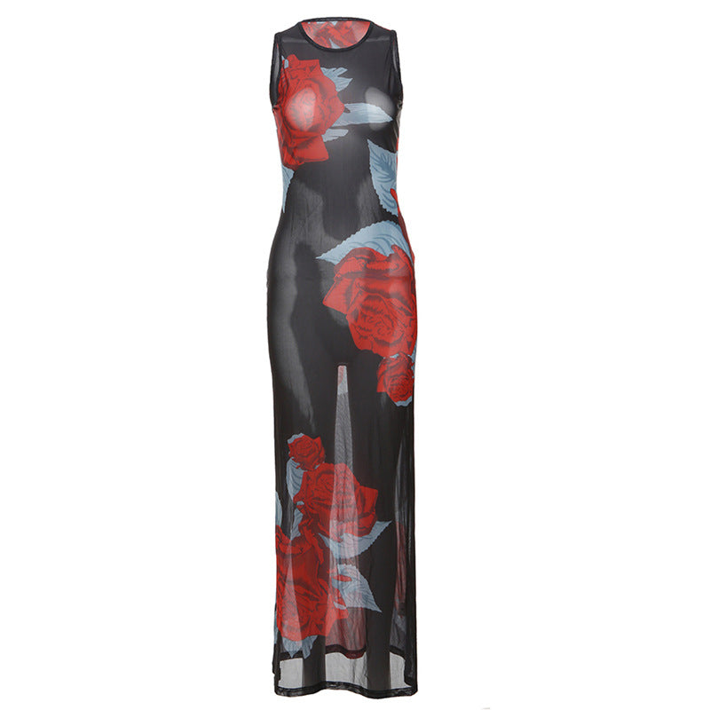 
                      
                        Rose Print Sheer Maxi Dress
                      
                    