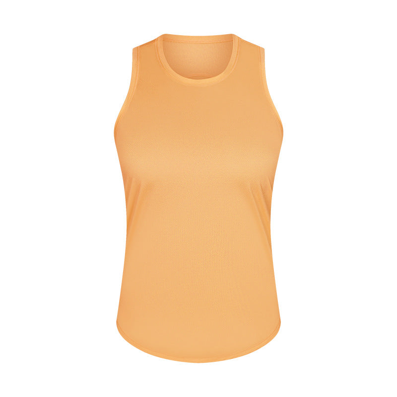 
                  
                    Boston Orange
                  
                