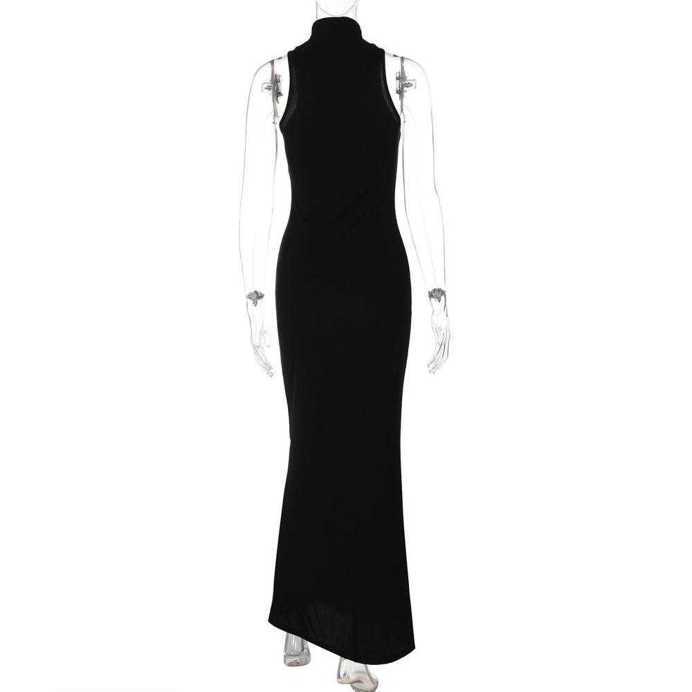 
                  
                    Turtleneck Sleeveless Maxi Dress
                  
                