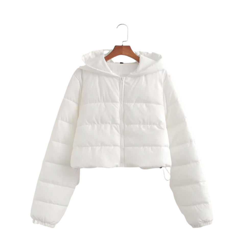 
                  
                    Hooded Zip Up Puffer Jacket
                  
                